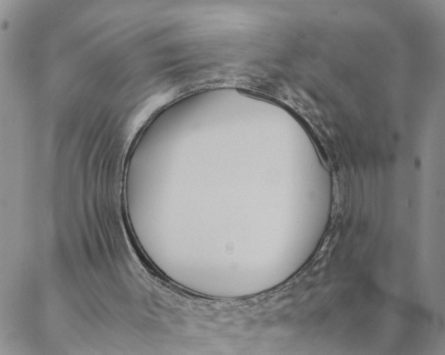 X0000088460003200706121516