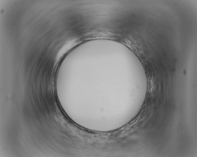 X0000088460004200706121516