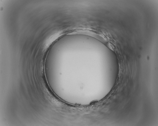 X0000088460005200706121516