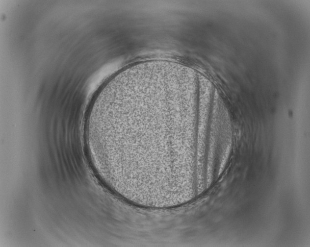 X0000088460006200706121516