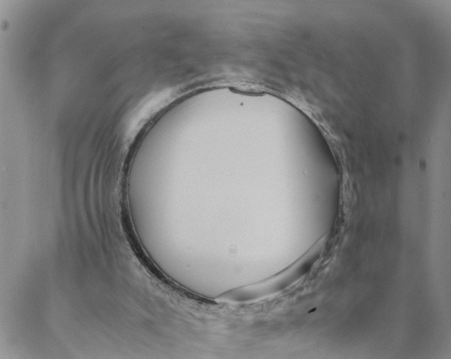 X0000088460007200706121516