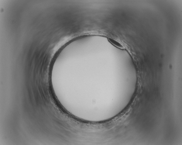 X0000088460008200706121516