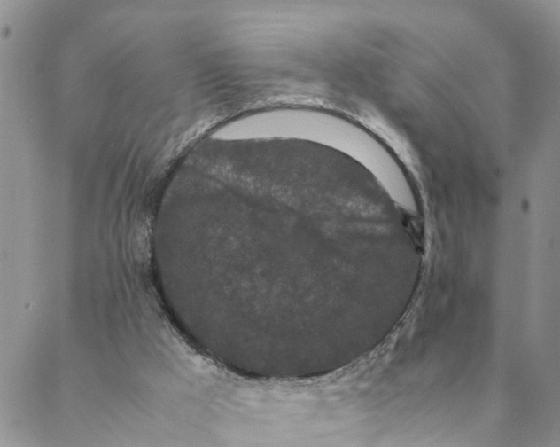 X0000088460009200706121516