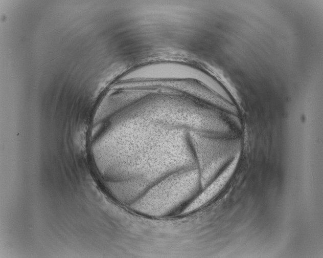 X0000088460010200706121516