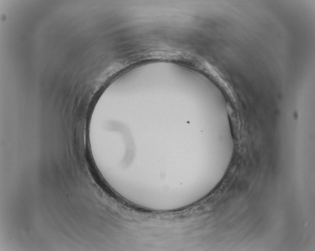 X0000088460011200706121516