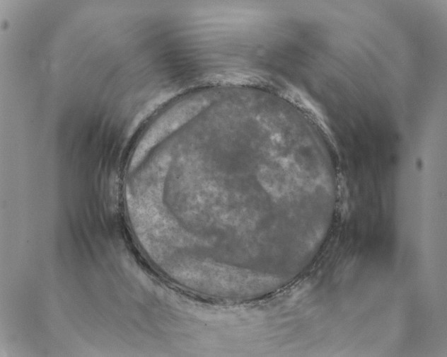 X0000088460012200706121516