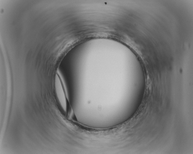 X0000088460013200706121516