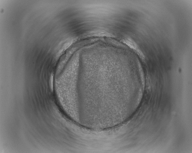 X0000088460014200706121516