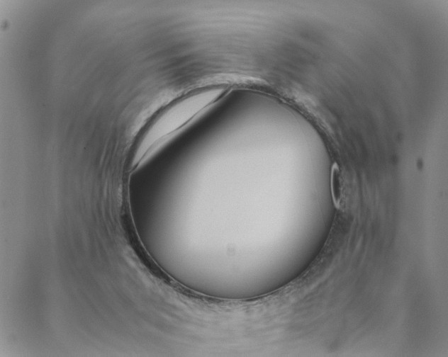 X0000088460015200706121516