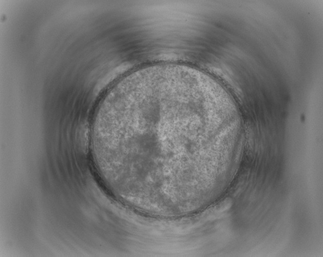 X0000088460016200706121516