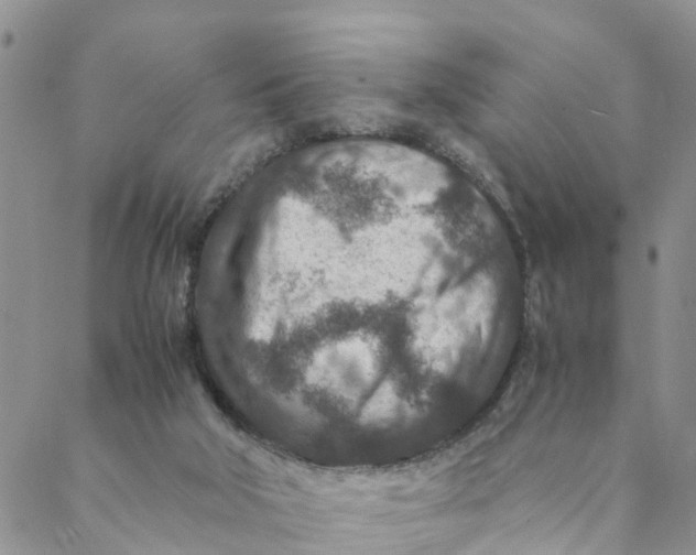 X0000088460018200706121516