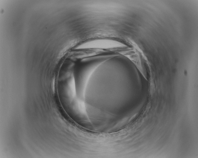 X0000088460019200706121516