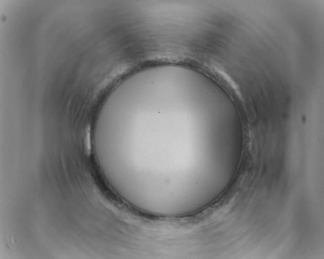 X0000088460020200706121515