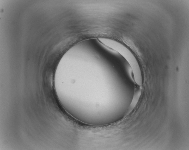 X0000088460021200706121515