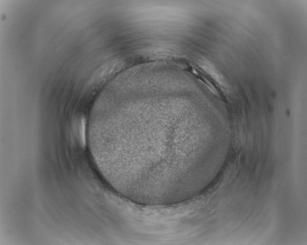 X0000088460022200706121515