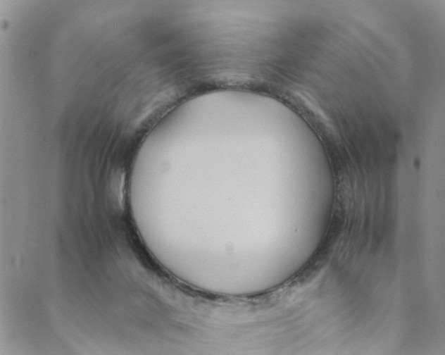 X0000088460024200706121515