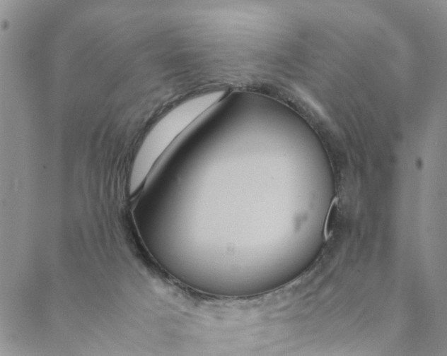 X0000088460025200706121515