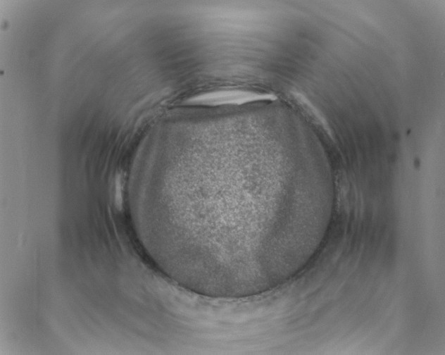 X0000088460026200706121515