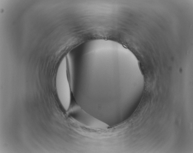 X0000088460027200706121515