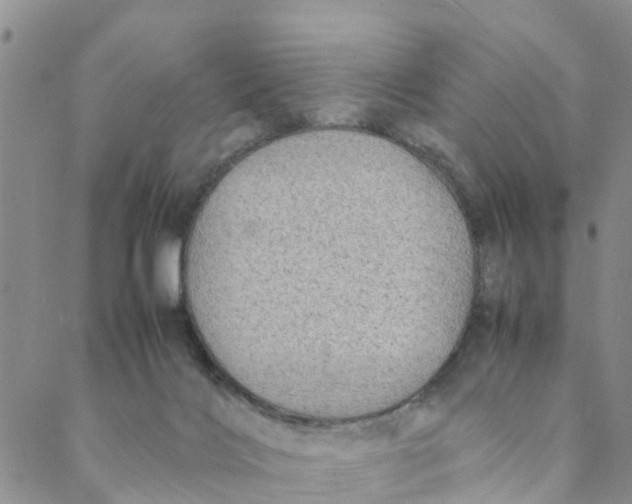 X0000088460028200706121515