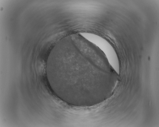 X0000088460029200706121515