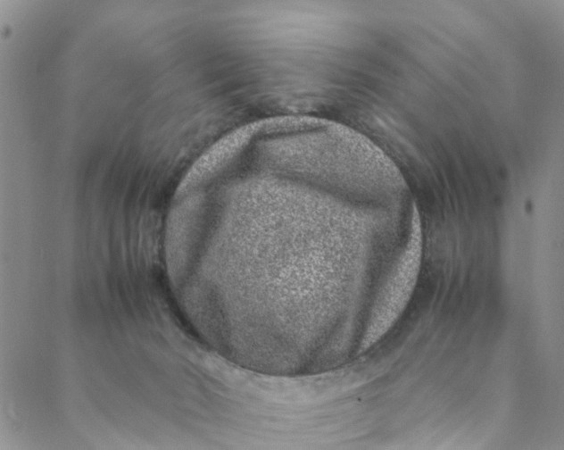 X0000088460030200706121515