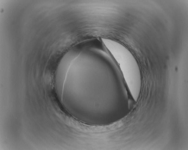 X0000088460031200706121515