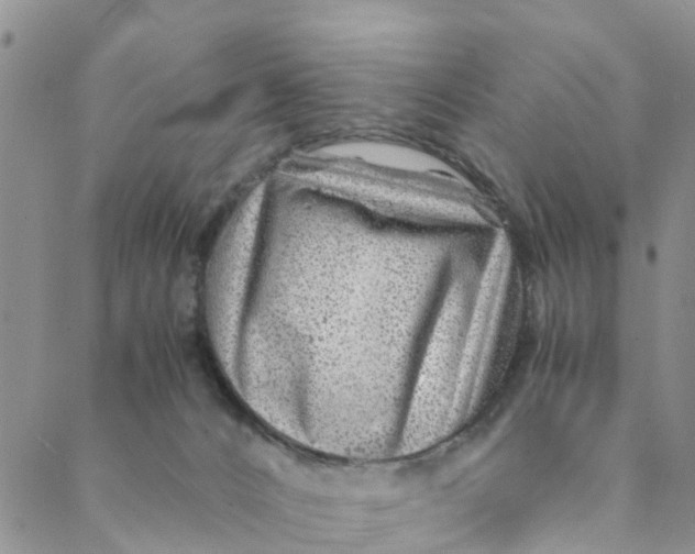 X0000088460032200706121515