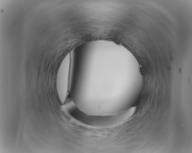 X0000088460033200706121515