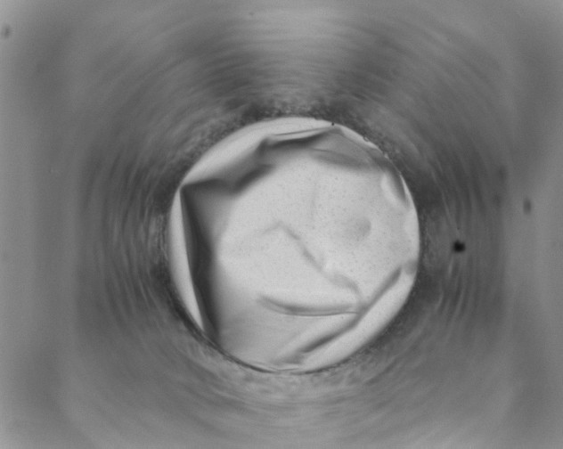 X0000088460034200706121515