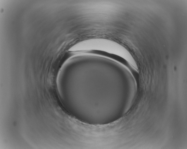 X0000088460035200706121515