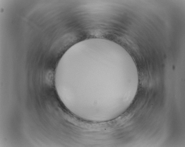 X0000088460036200706121515