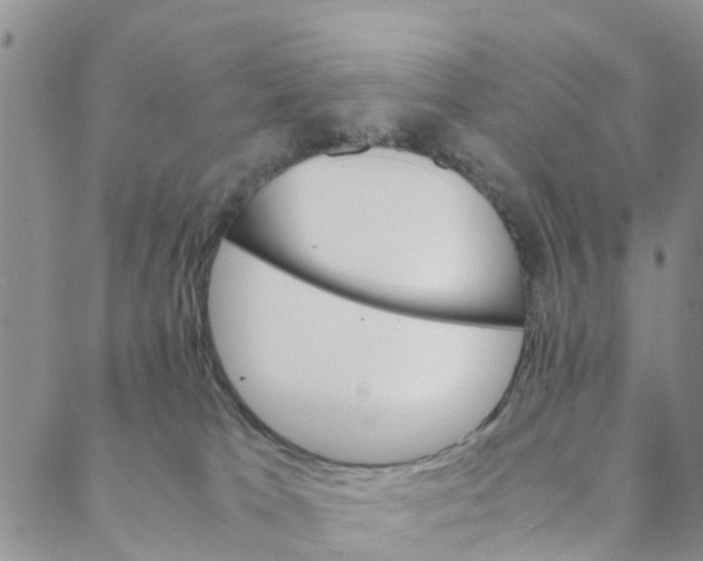 X0000088460037200706121515