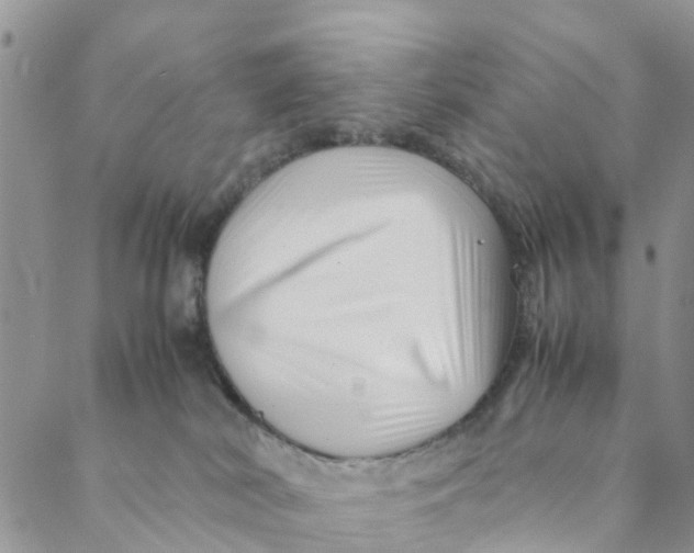 X0000088460038200706121515