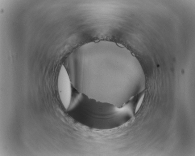 X0000088460039200706121515