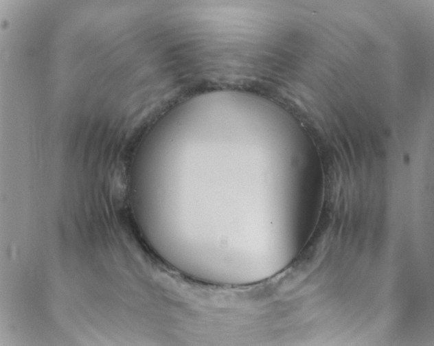 X0000088460040200706121515