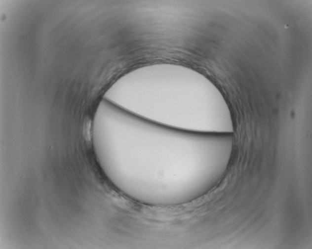 X0000088460041200706121515