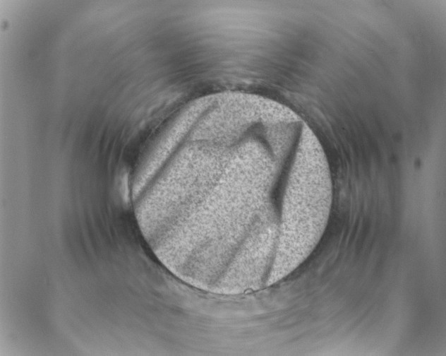 X0000088460042200706121515