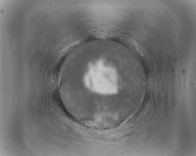 X0000088460043200706121515