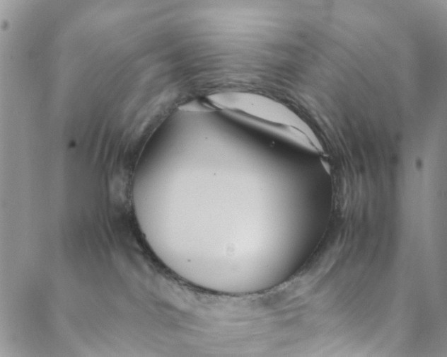 X0000088460044200706121515