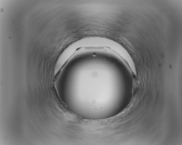 X0000088460045200706121515