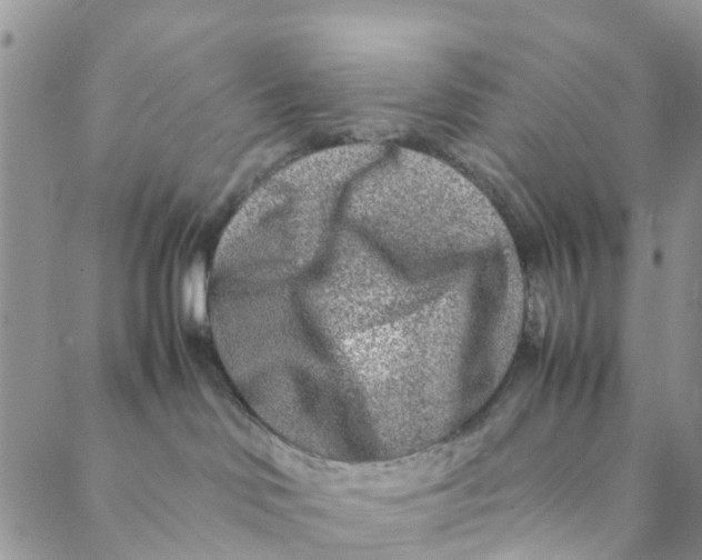 X0000088460046200706121515