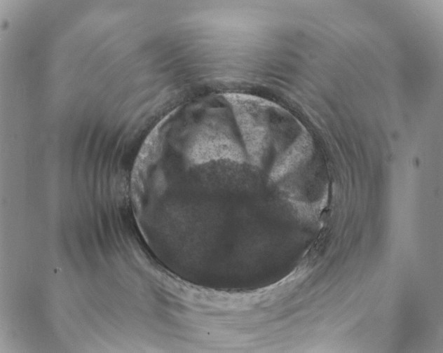 X0000088460048200706121515