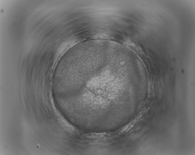 X0000088460049200706121514