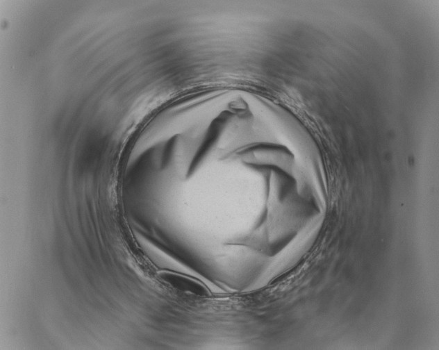 X0000088460050200706121514