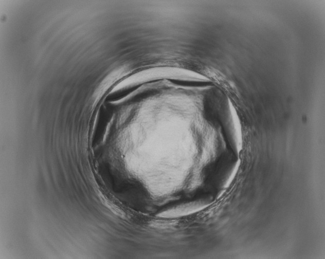 X0000088460051200706121514