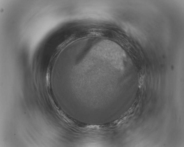 X0000088460052200706121514