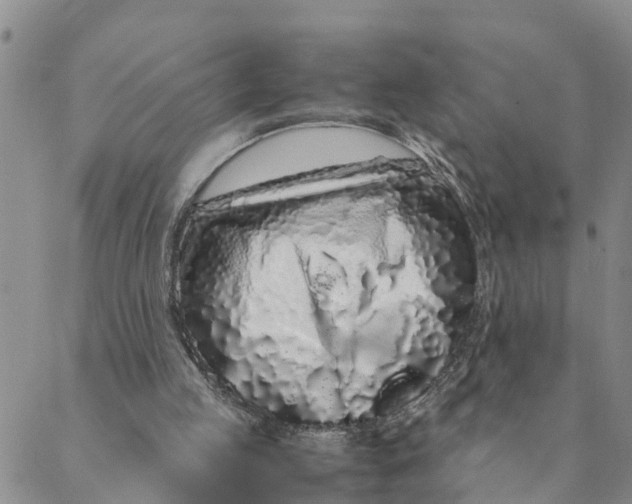 X0000088460053200706121514