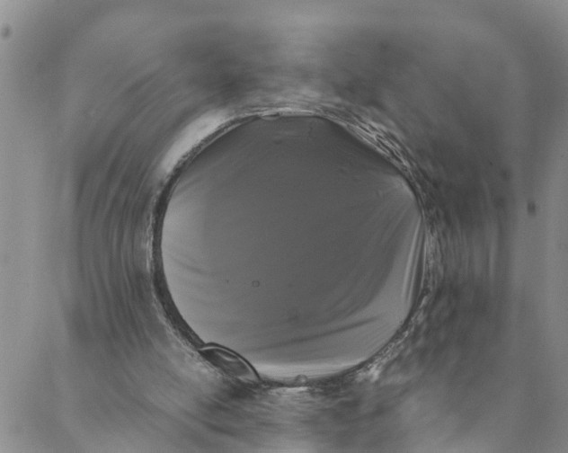 X0000088460054200706121514