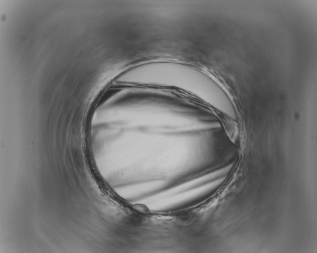 X0000088460055200706121514